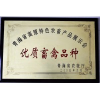 優(yōu)質畜禽品種